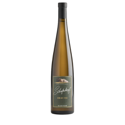 Chapoutier Schieferkopf Lieu - Dit Fels Riesling  2019 1,5 L